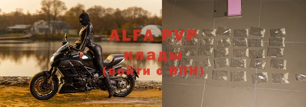 ECSTASY Алзамай