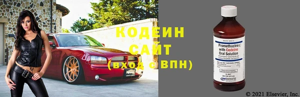ECSTASY Алзамай