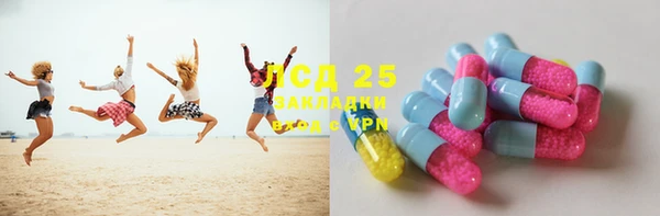 ECSTASY Алзамай