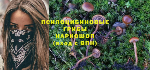 таблы Алексин