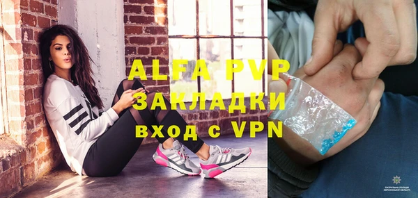 ECSTASY Алзамай