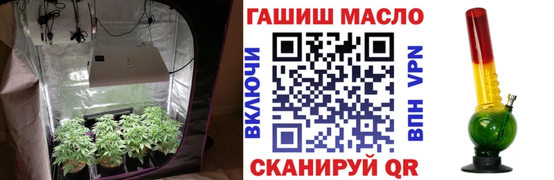 ТГК Wax  Тогучин 