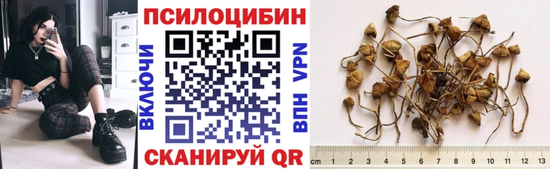 Псилоцибиновые грибы мицелий  Тогучин 