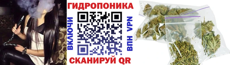 МАРИХУАНА ГИДРОПОН  Тогучин 